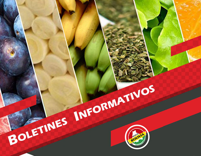 Boletines Informativos